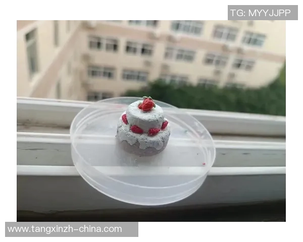 糖心vlog小阿俏-糖心vlog小阿俏，探索美食之旅的独特魅力-糖心vlog小阿俏